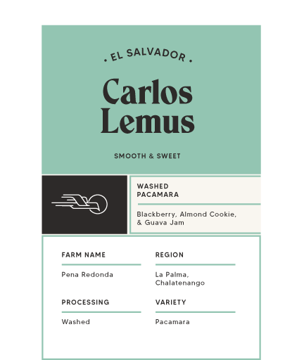 Carlos Lemus - El Salvador