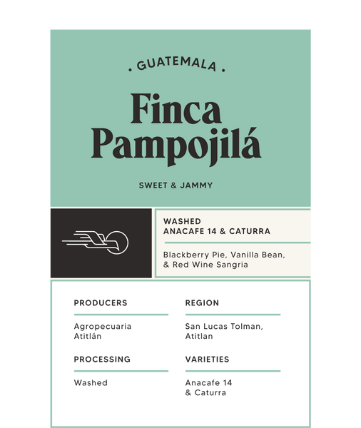 Finca Pampojilá - Guatemala