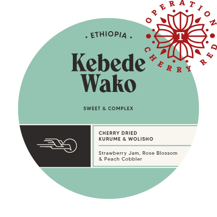 Kebede Wako - Ethiopia