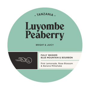 Luyombe Peaberry - Tanzania