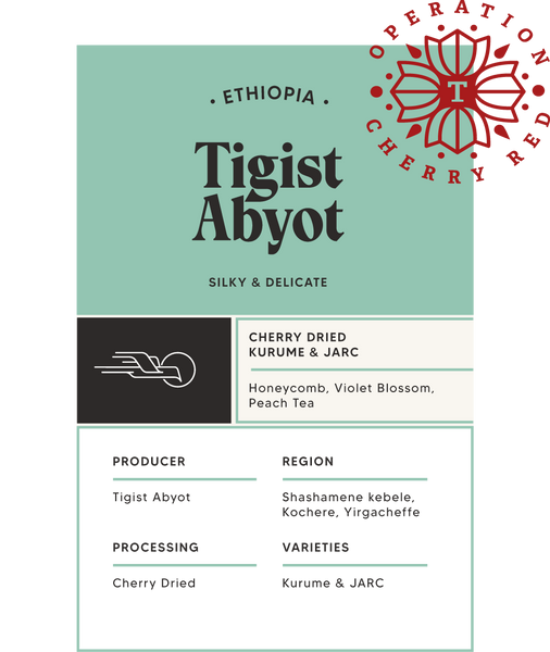 Tigist Abyot - Ethiopia