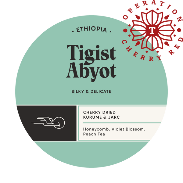 Tigist Abyot - Ethiopia