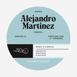 Alejandro Martinez - Mexico